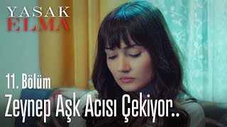 Zeynep aşk acısı çekiyor  Yasak Elma 11 Bölüm [upl. by Llabmik]