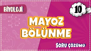 10 Sınıf Biyoloji  Mayoz Bölünme Soru Çözümleri  2022 [upl. by Ling]