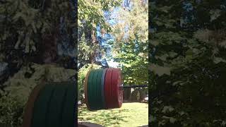 500 lb deadlift up close view [upl. by Arnaldo]