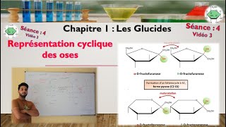 Séance 4  Vidéo 3  Cyclisation des Cétoses  formation de Pyranoses et de Furanoses [upl. by Yssis]