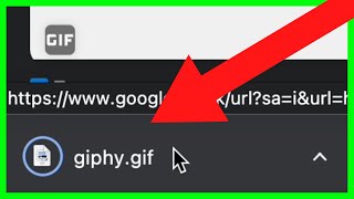 How to Download GIF from Google NEW UPDATE in 2023 [upl. by Ahen763]