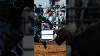 Discover Fort Worth Stock Show amp Rodeo [upl. by Ardnod965]