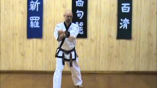 Tang Soo Do  Single Step Drill  Sequence 3 [upl. by Gilletta]