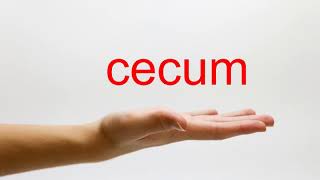 How to Pronounce cecum  American English [upl. by Fernandina]