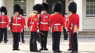 Nijmegen Company Grenadier Guards [upl. by Heyde]