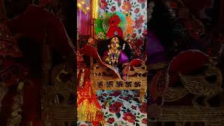 viralshort music newsong laddugopal vrindavandham kanha [upl. by Atirrehs]