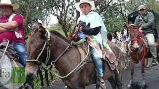 Cabalgata Mochilera Vereda Veraguas Pacho Cundinamarca [upl. by Hafeetal504]