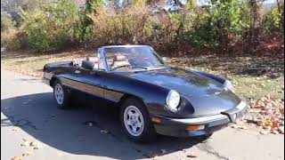 ST25556 1984 Alfa Romeo Spider Veloce 20 [upl. by Elreath]