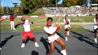 2012 WSSU Cheerleaders Its called Survival [upl. by Clifton]