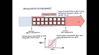 Brandls Basics Therapeutic Window versus Therapeutic Index [upl. by Norak]