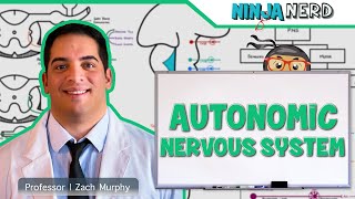 Neurology  Autonomic Nervous System [upl. by Eilesor]