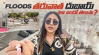 Dubai Floods Before amp After  ఇప్పుడు దుబాయ్ ఎలా ఉందో తెలుసా  Hamida Khatoon  Cue Media [upl. by O'Neil]