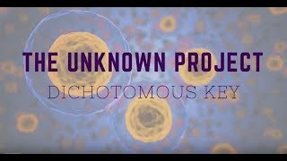 Unknown Bacteria Dichotomous Key [upl. by Tterab218]