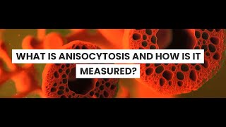 What is Anisocytosis [upl. by Brownson]