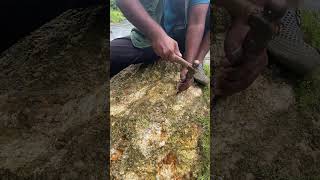 BIGGEST Gold Nuggets Found gold goldpanning satisfying [upl. by Airdnaxila]