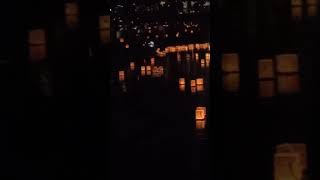 Water Lantern Festival Almaden [upl. by Earal]