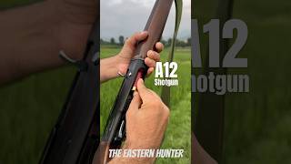 A12 Shotgun [upl. by Isleana]