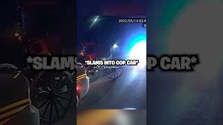 Amish Man Get’s DUI in a BUGGY 😂🐴 [upl. by Ahsimac]