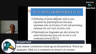 Second step of peptidoglycan biosynthesis [upl. by Aronas]