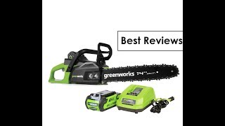 Best Greenworks 14Inch 40V Cordless Chainsaw Customers Reviews [upl. by Amsden110]