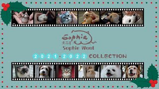 20212022 Needle felt Collection【Sophie Wool】handcraft realistic pet 3D portrait [upl. by Ailemap]