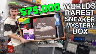 Unboxing The Worlds Rarest 75000 Sneaker Mystery Box [upl. by Nolrah24]