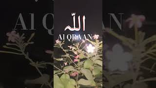 Soore bqrah youtube short viral vidio Qraan trjumh islAmick viral vidio🕋🕋🕋 [upl. by Foss985]