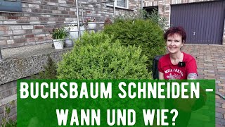 Buchsbaum schneiden  wann und wie [upl. by Hild]