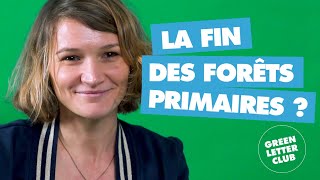 23 Déforestation  la fin des forêts primaires  Cécile Leuba Greenpeace [upl. by Amye621]