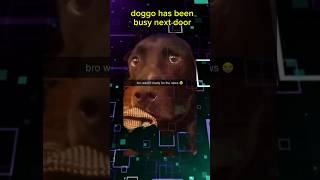 Shocked Dog Reacts to Neighbors Pregnancy  CUTEST DOG EVER [upl. by Aronoh]