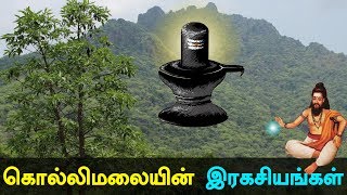 Kollimali Secrets and History of Kollipaavai in Tamil kollimalai [upl. by Mitinger]