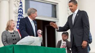 President Obama Pardons White House Turkey [upl. by Ettenajna938]