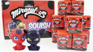 Miraculous Ladybug Kwami Squishums Squishy Toys Full Set Unboxing [upl. by Maynard]