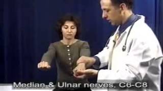 Neurological Physical Examination [upl. by Simdars]