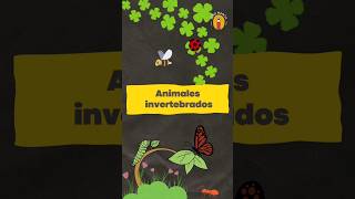 Animales Invertebrados 🐙🕷🪱🦗🦑🐜 [upl. by Renate]