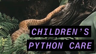 Children’s Python Care [upl. by Alehs]