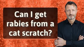 Can I get rabies from a cat scratch [upl. by Narat]