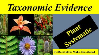 Taxonomic Evidence  Plant Systematic [upl. by Maro]