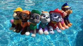 La patrulla canina se baña en una piscina  Capítulo 1Videos paw patrol pool party full episodes [upl. by Bruyn]