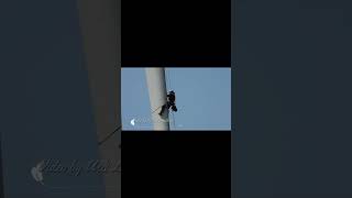 Workers working on windmill blade high up in the air shorts [upl. by Felipe]