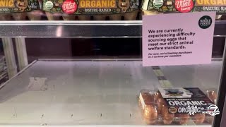 Noticed empty egg shelves in Colorado grocery stores Youre not alone [upl. by Chen]