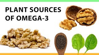 Plant Sources of Omega3 [upl. by Htenywg128]