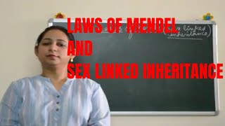 LAWS OF MENDEL AND SEX LINKED INHERITANCEEasy explanation AS PER ICSE Class 10th [upl. by Ahsiela]