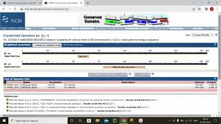 Conserved Domain search of gene [upl. by Seto]