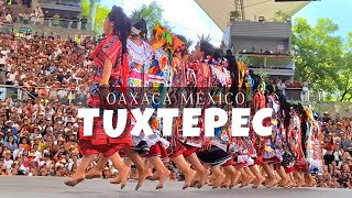 ESPECTACULAR FLOR DE PIÑA GUELAGUETZA 2023 Video exclusivo La más GRANDE FIESTA de OAXACA [upl. by Yerd608]