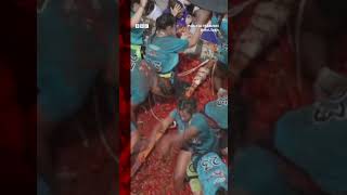 The annual La Tomatina festival has been going since 1945 LaTomatina Shorts BBCNews [upl. by Airym930]