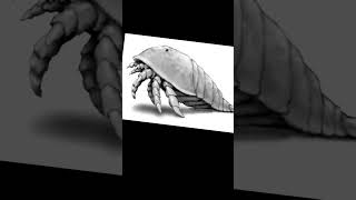 Fave eurypterid pics music guitar christmas song idkwhatimdoingwithmylife halloween [upl. by Inobe]