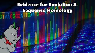 Evidence for Evolution  Sequence Homology [upl. by Essilec22]