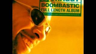 Shaggy  Mr Boombastic Slow Version [upl. by Artened]