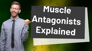 What muscle is antagonist to gracilis [upl. by Averill]